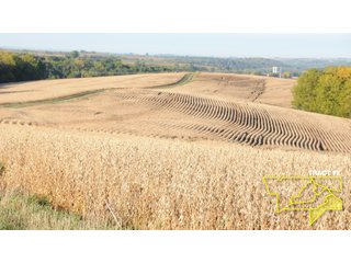Property photo 41 - 1,153 +/- Acres offered in 15 TractsLAND AUCTION